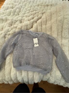 Zara Silver-Accent Light Gray Sequin Crewneck Sweater